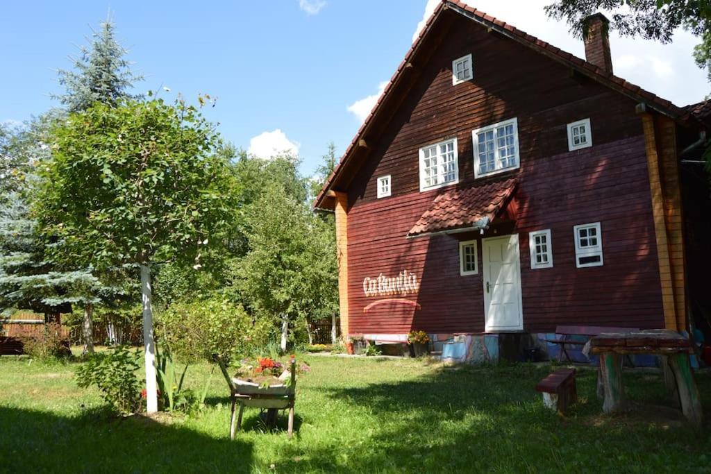 Villa Cabanita Întorsura Buzăului Esterno foto