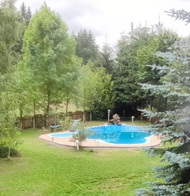 Villa Cabanita Întorsura Buzăului Esterno foto