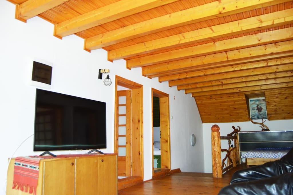 Villa Cabanita Întorsura Buzăului Esterno foto