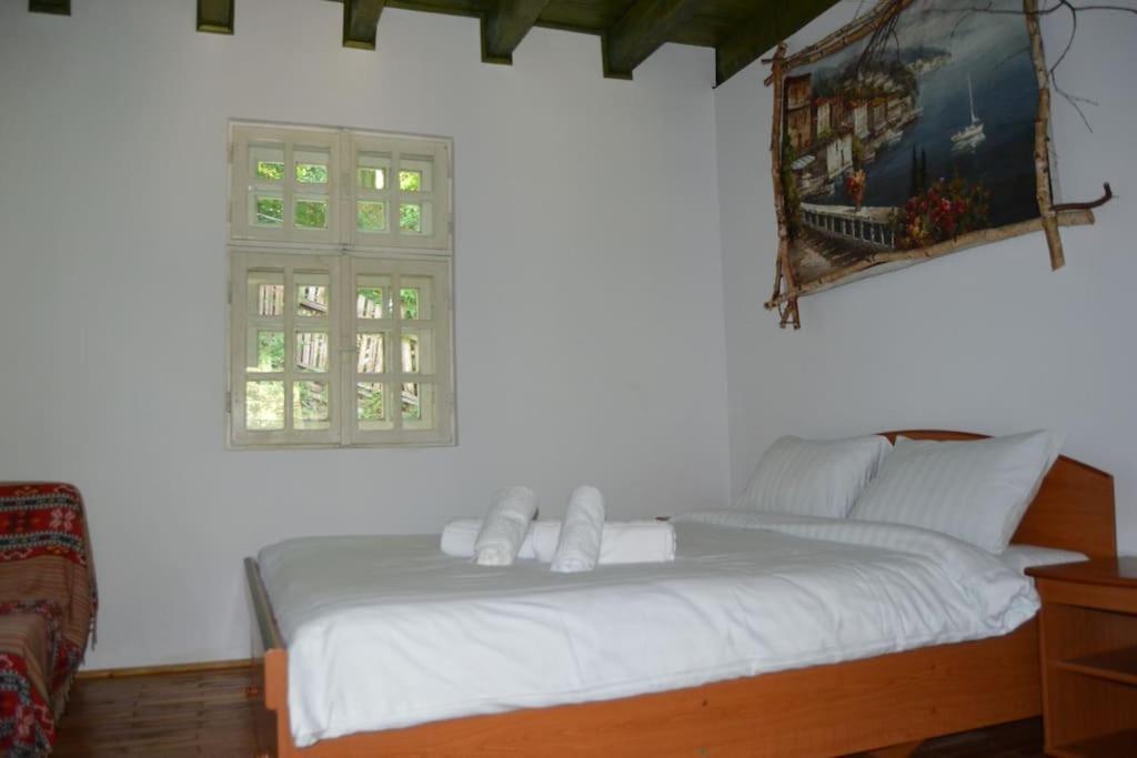 Villa Cabanita Întorsura Buzăului Esterno foto