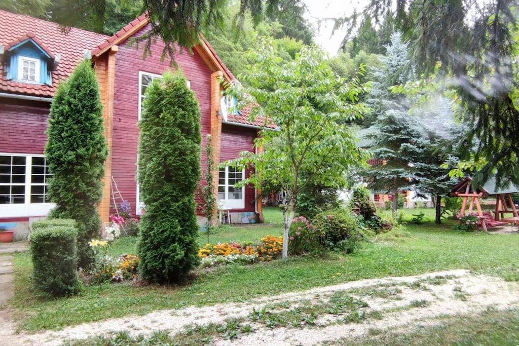 Villa Cabanita Întorsura Buzăului Esterno foto